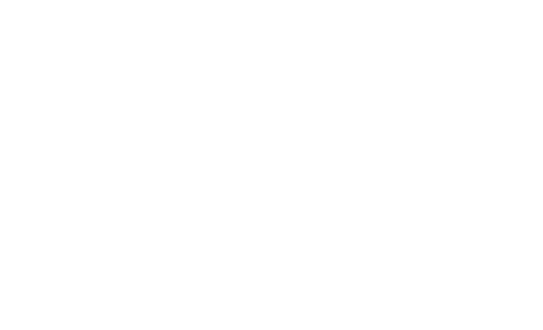 Posterduck Customs